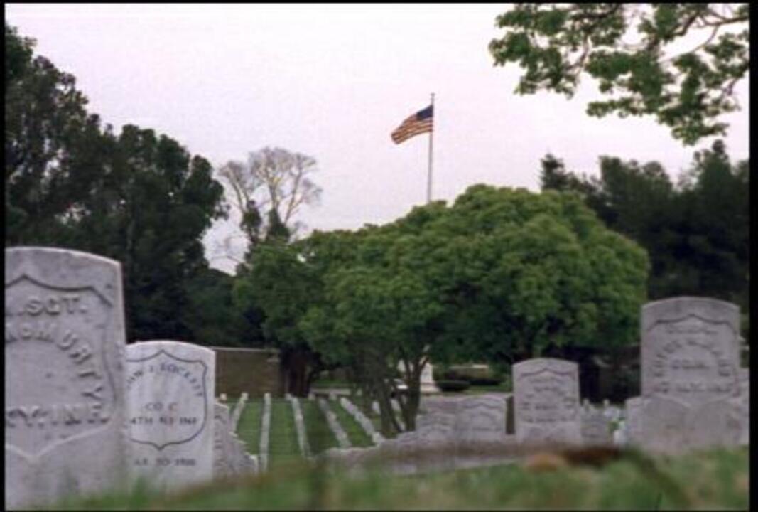 Arlington Cemetery 6