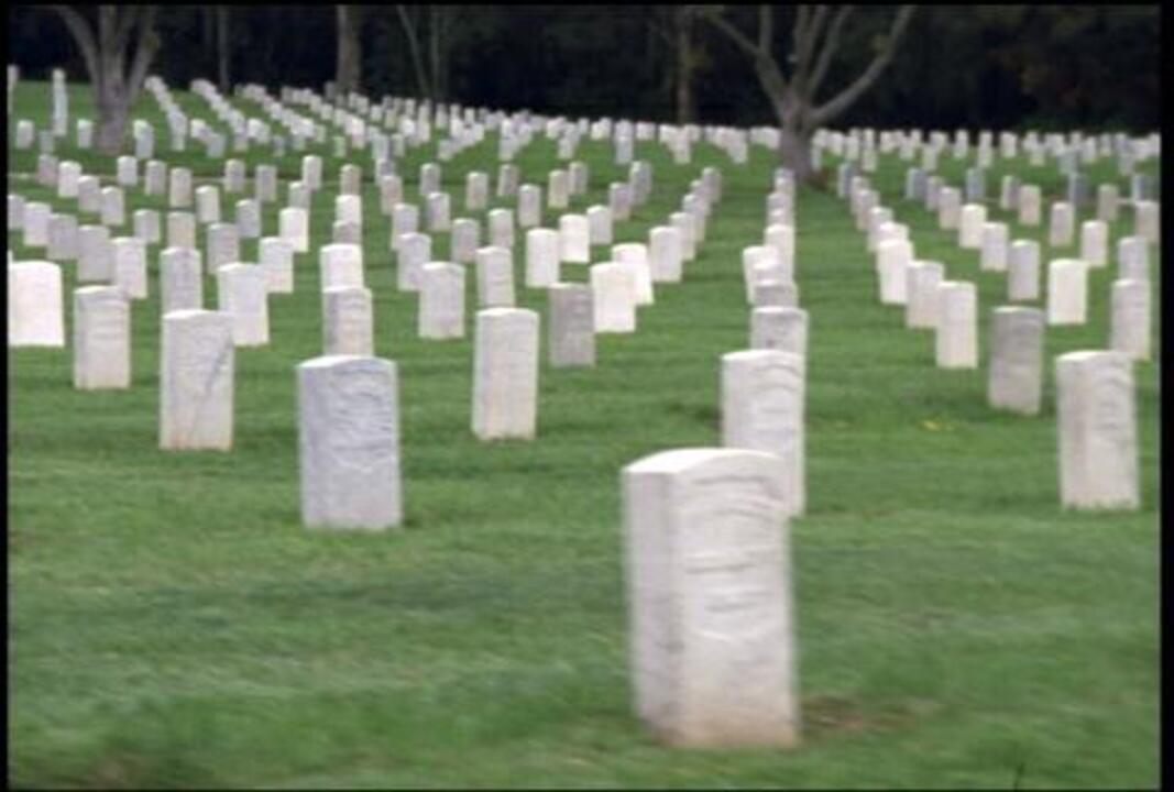 Arlington Cemetery 3