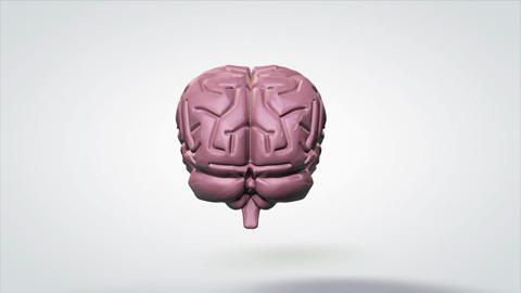 Human Brain 3d