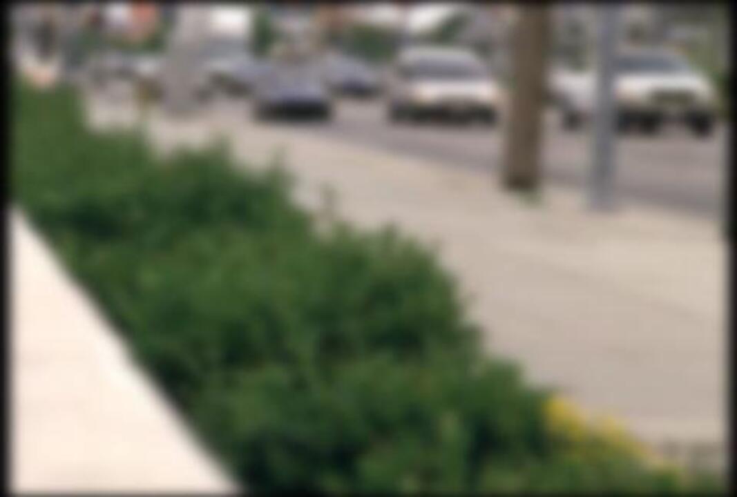 Traffic Blur 22