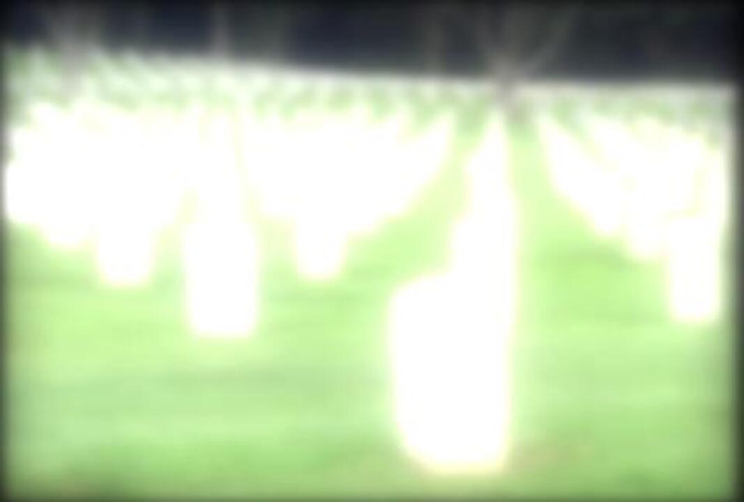 Arlington Cemetery Glow Drive By 2