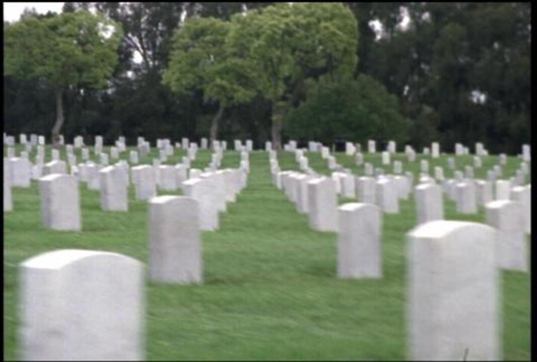 Arlington Cemetery 1