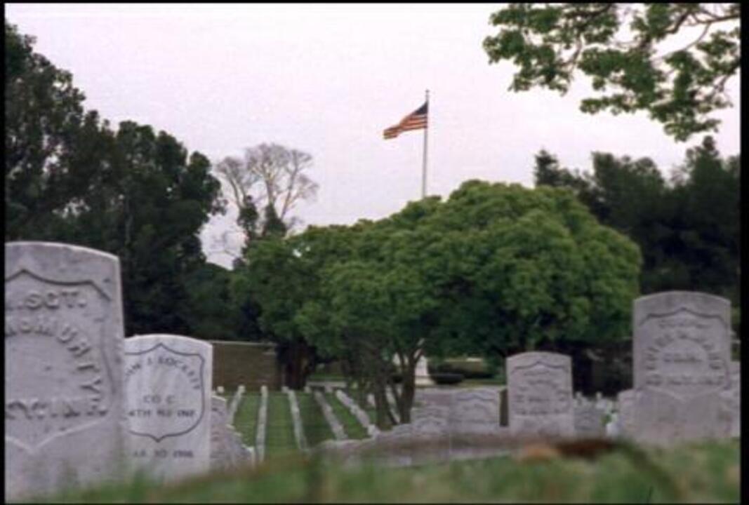Arlington Cemetery 5