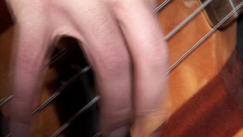 Macro Fingering Bass Guitar