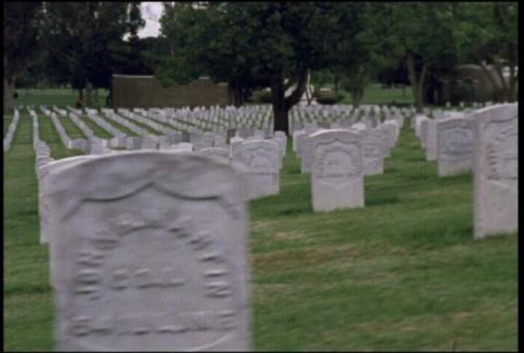 Arlington Cemetery 8