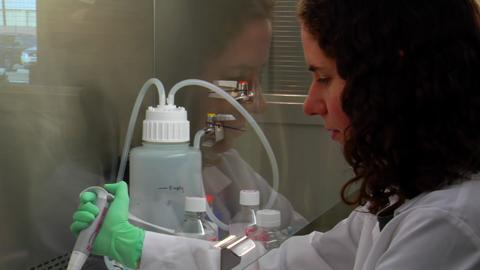 Scientist Uses A Pipette To Transfer Samples