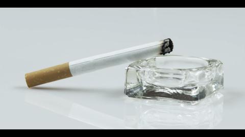 Macro Cigarette Ashtray2