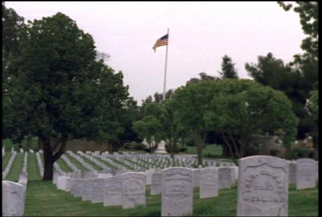 Arlington Cemetery 7