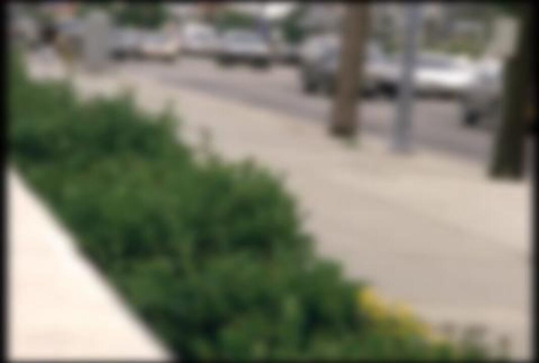 Traffic Blur 20