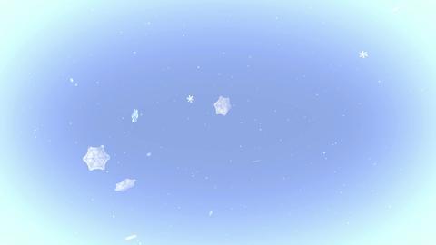 Snow Particles