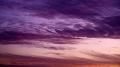 Purple And Pink Clouds