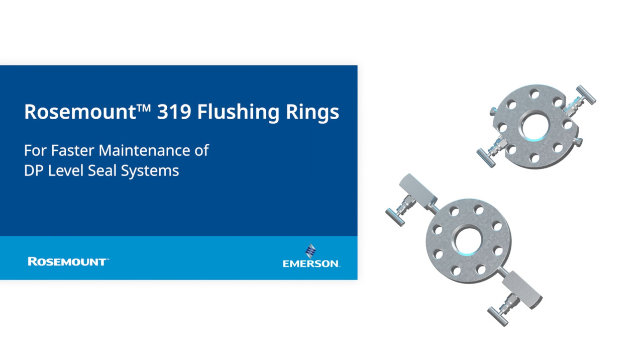 Project Services for Measurement Instrumentation Products, Emerson