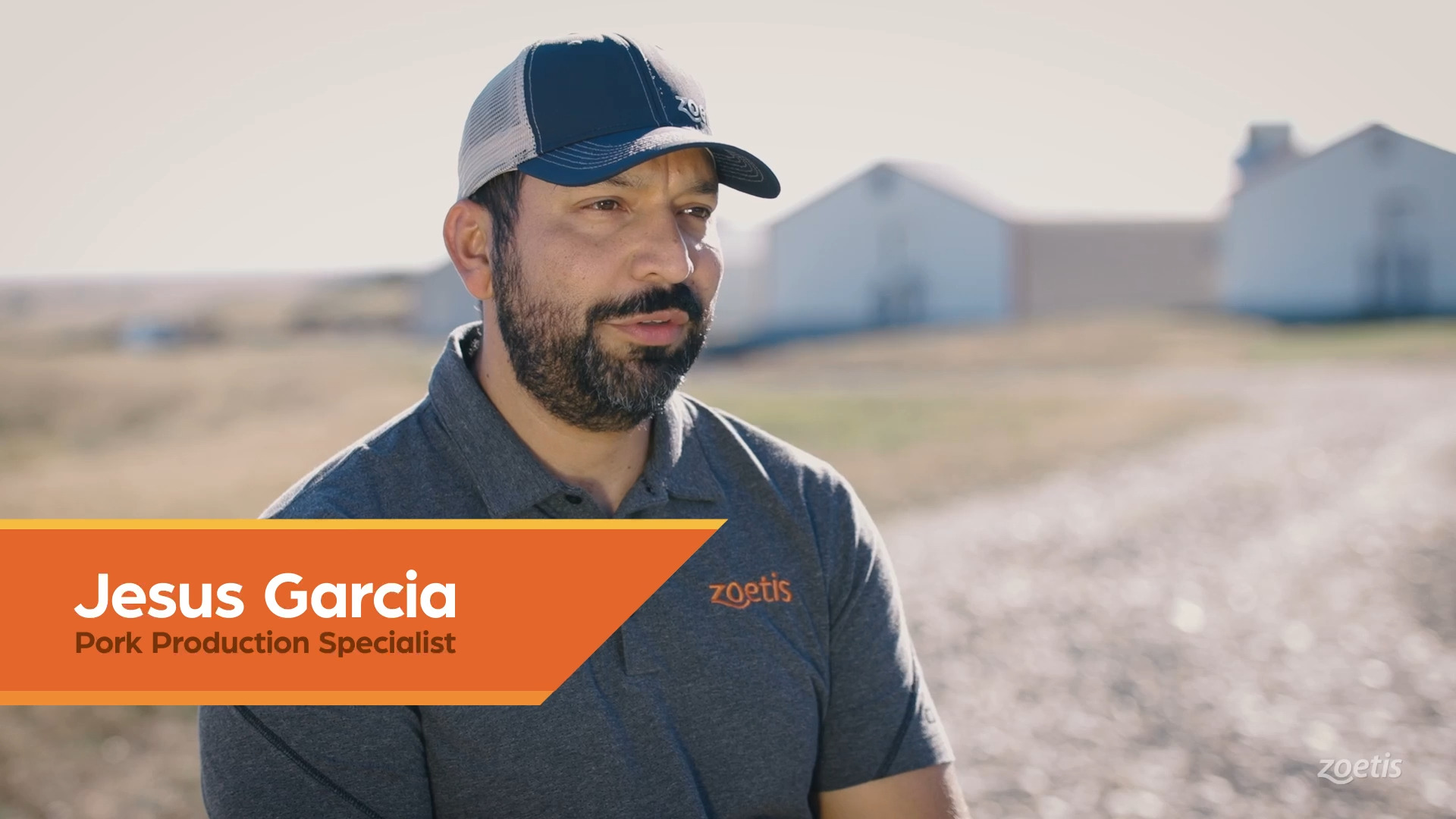 brightCoveVideo