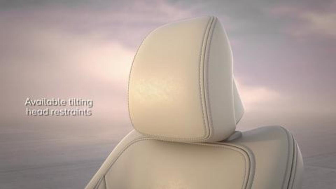 Adjustable 4-Way Head Restraints