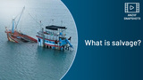 SNAPSHOT: What is salvage?