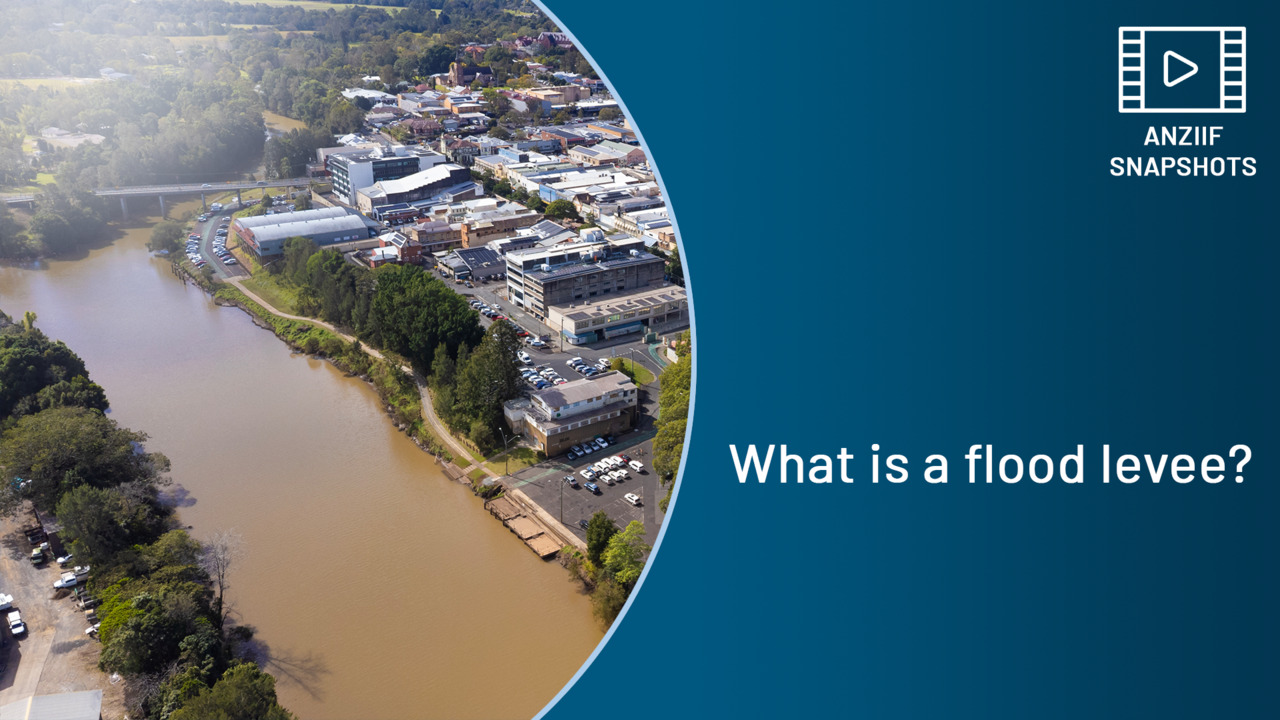 SS202506 What is a flood levee?