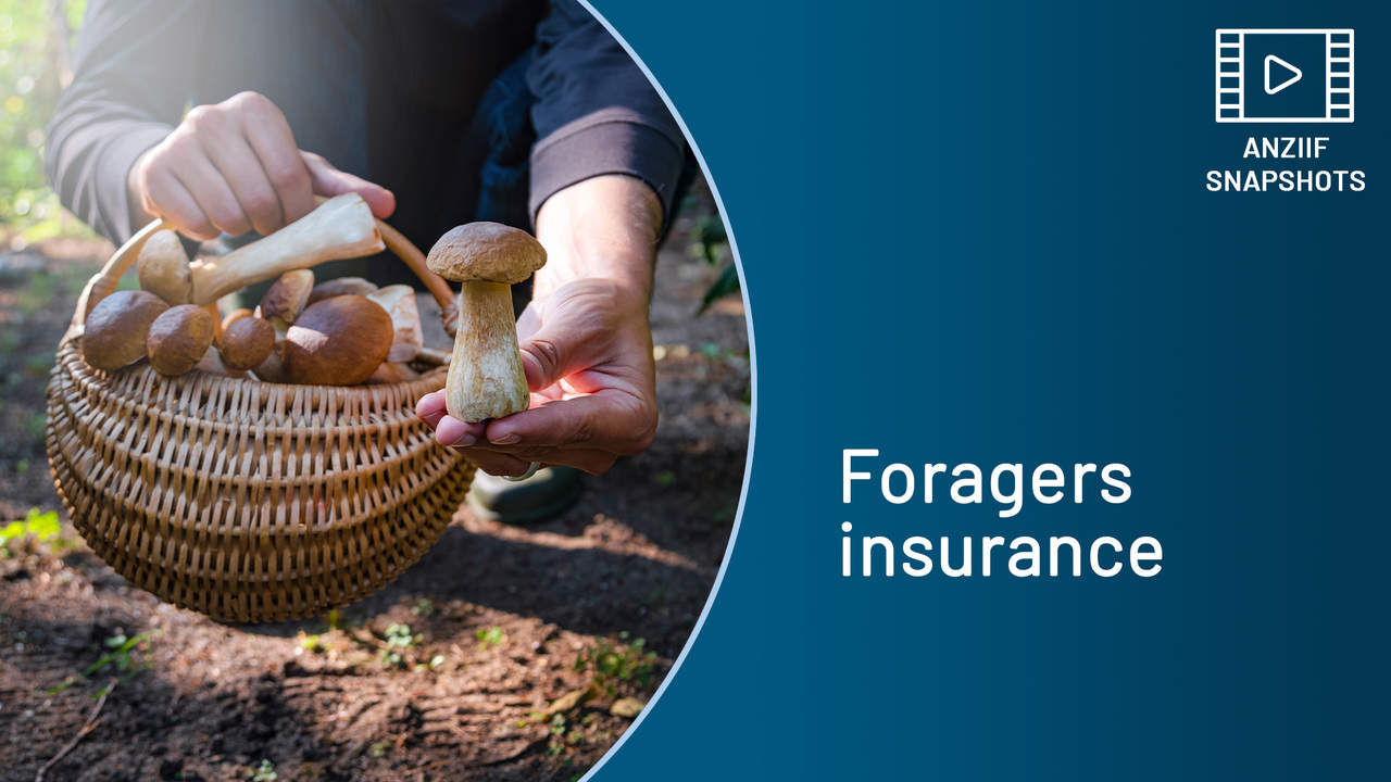 SS202515 Foragers insurance