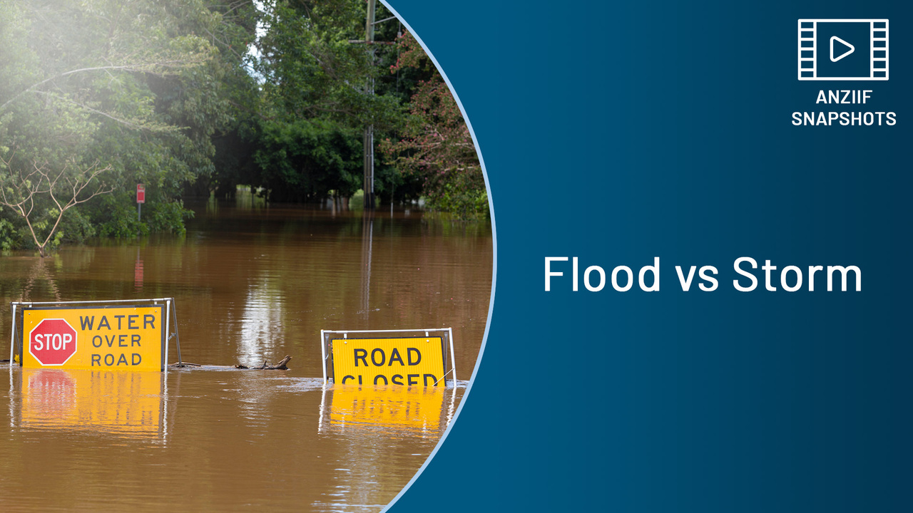 SNAPSHOT: Flood vs Storm