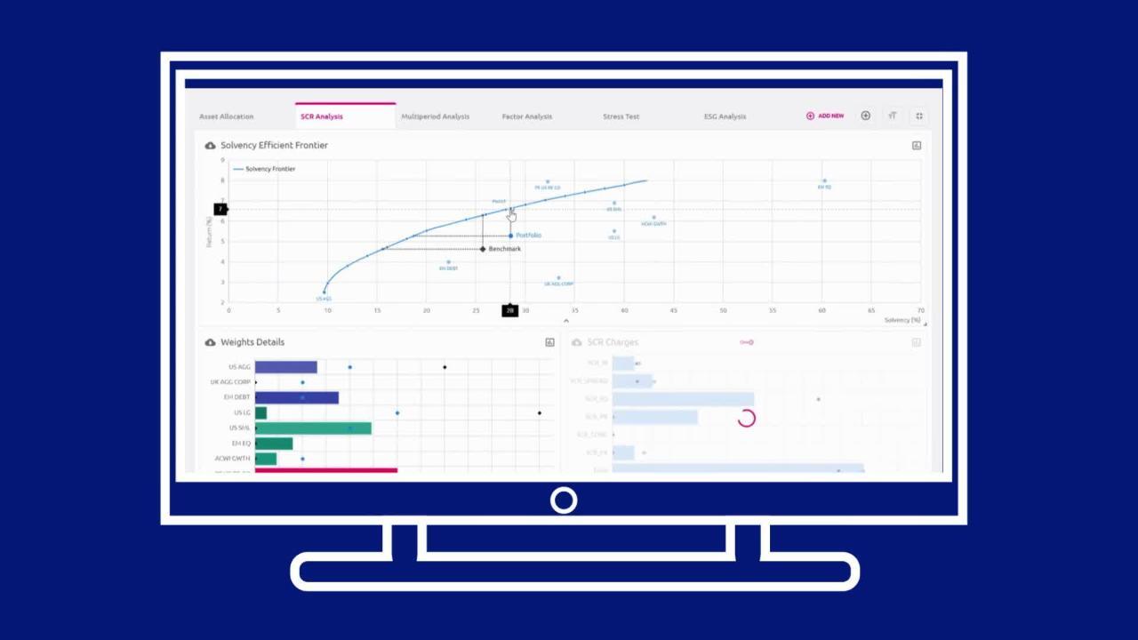 Portfolio Analytics for the Institutional Investor