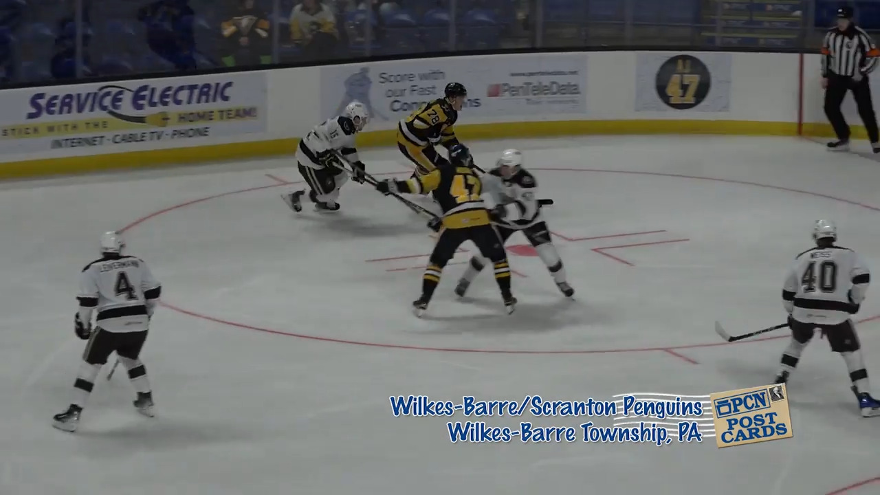 WilkesBarreScranton Penguins PCN Postcard