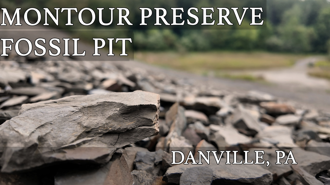 img1843978941253278726