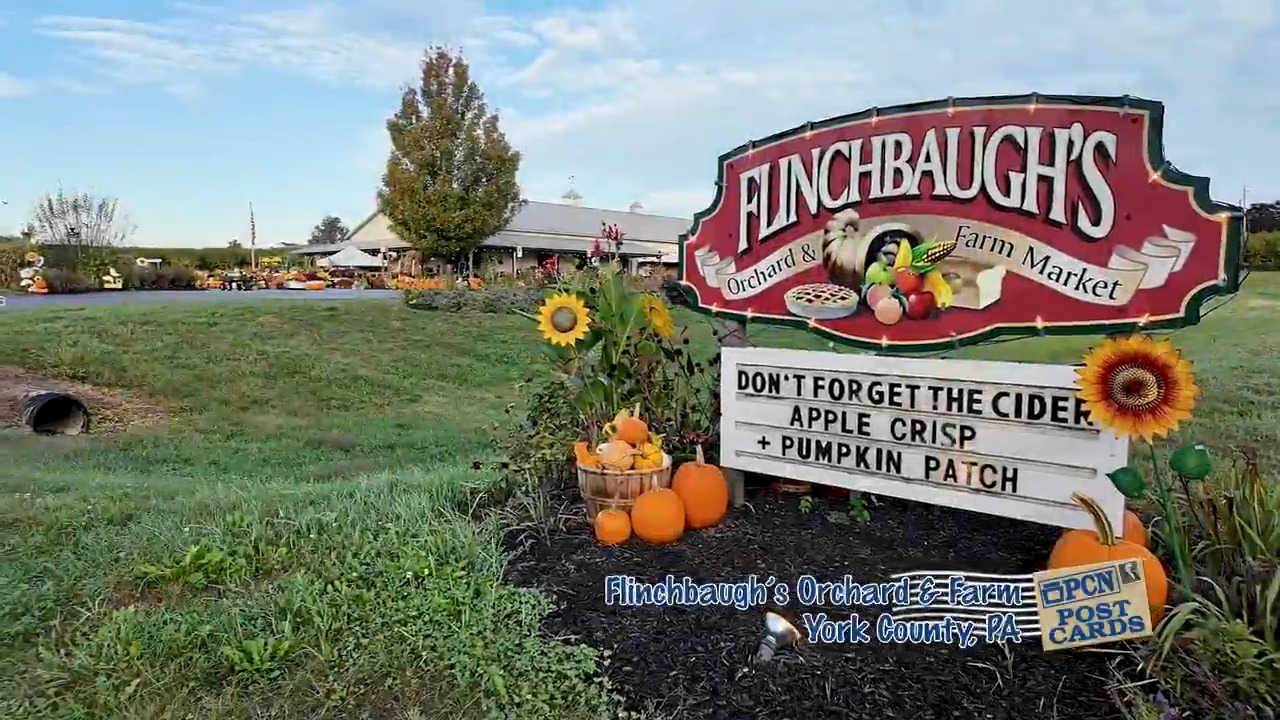 Flinchbaughs Orchard and Farm PCN Postcards