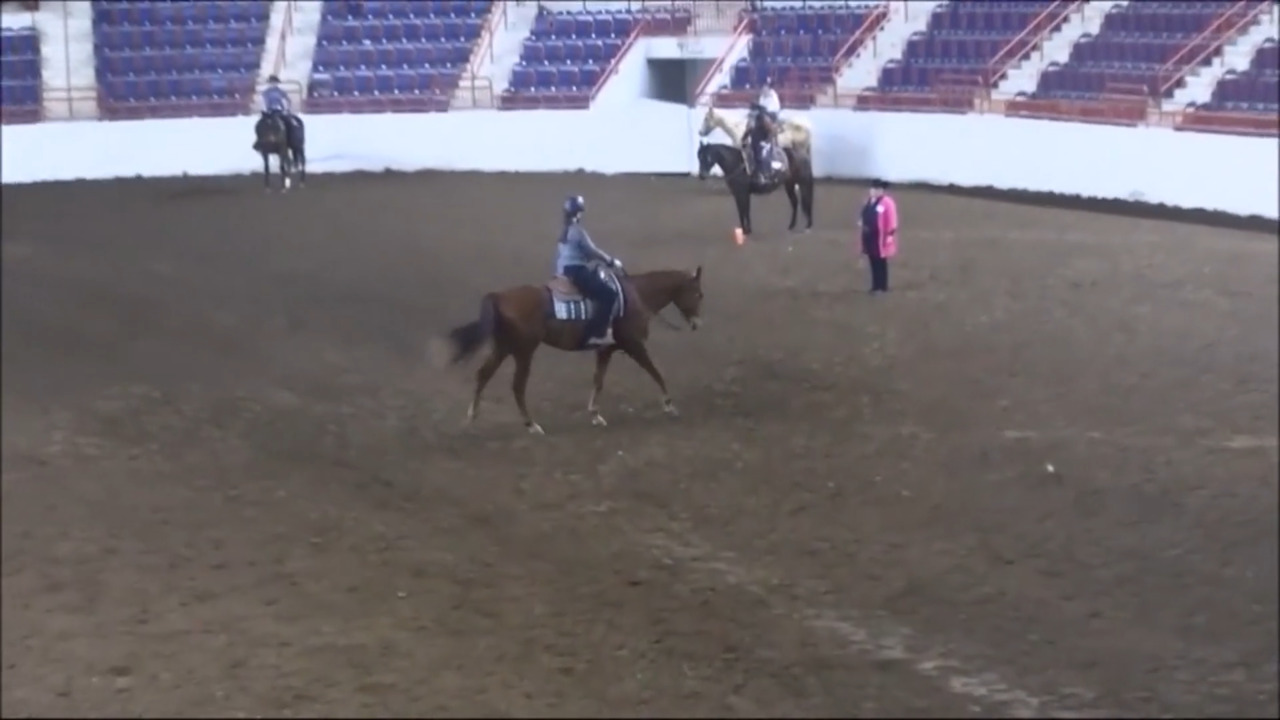 img1655526841090202784