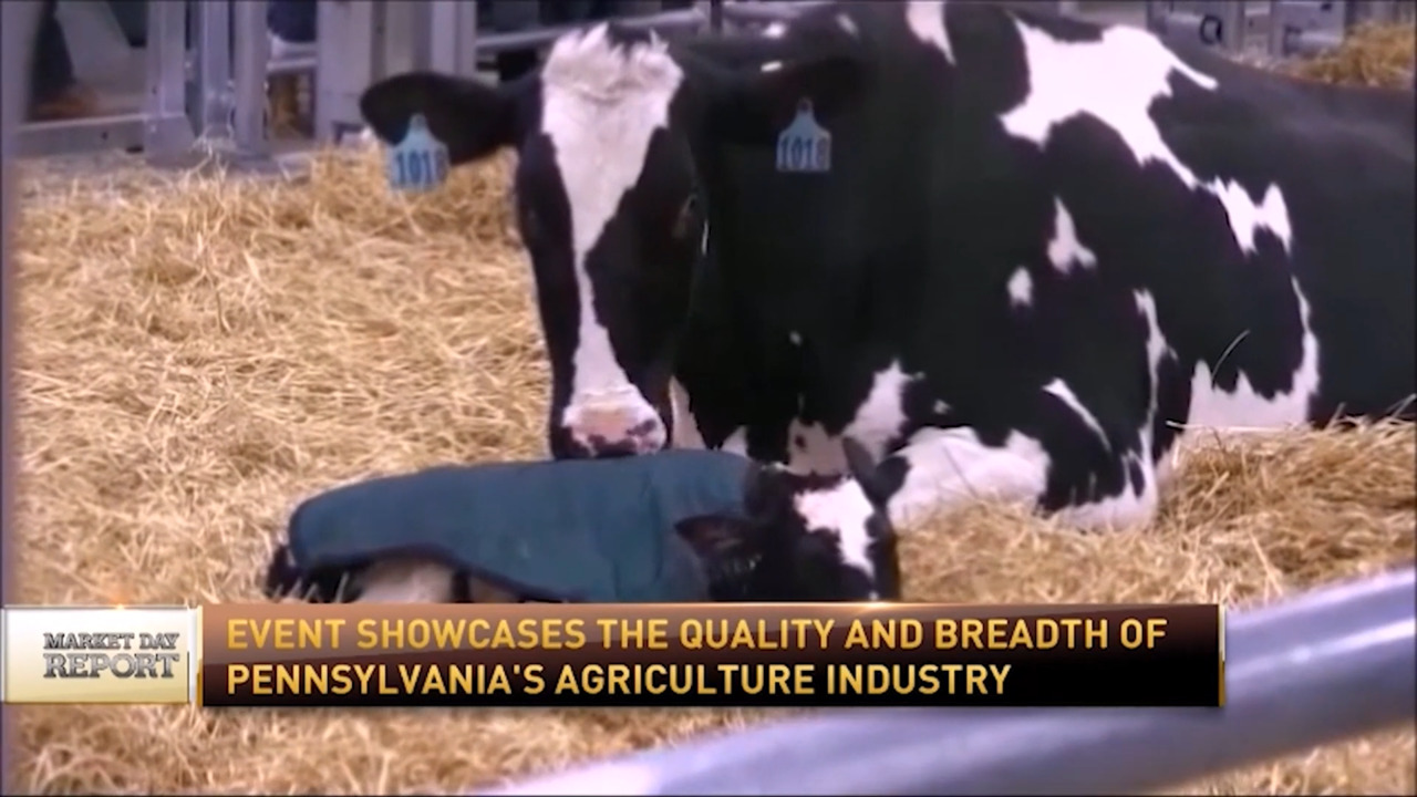 img1655526841090202784