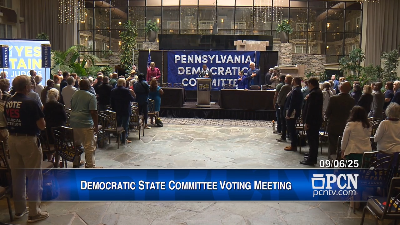 Democratic State Committee Voting Meeting 090625