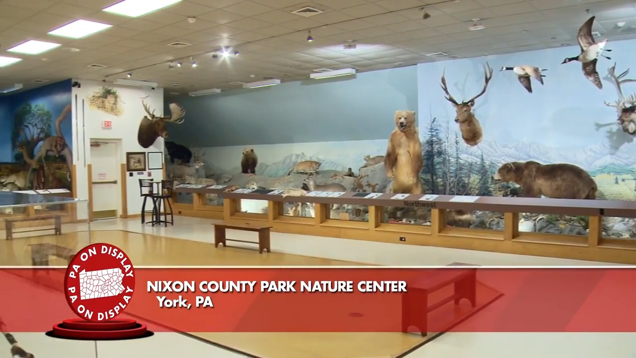 Nixon County Park Nature Center PA on Display