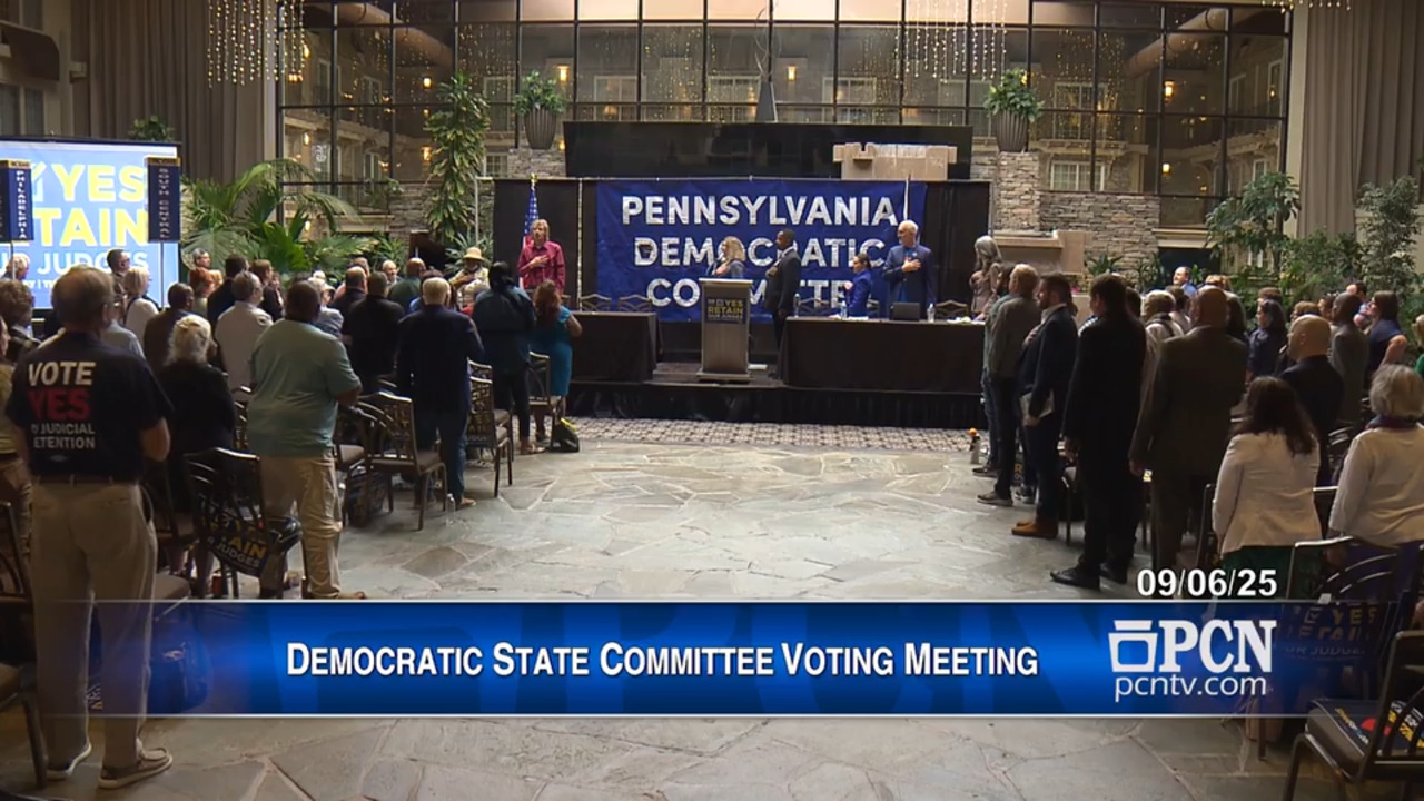 Democratic State Committee Voting Meeting 090625