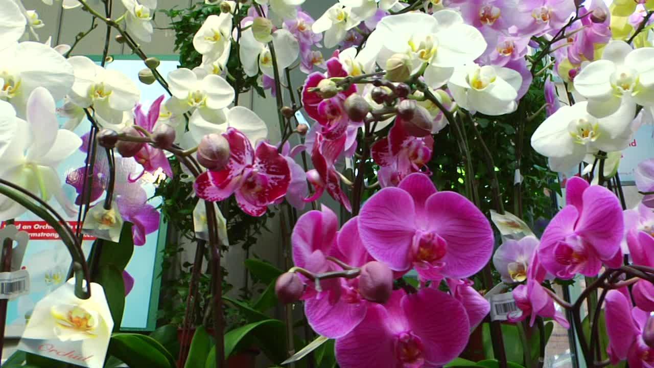 How Epicor Eagle software gives the business all the necessary inventory information