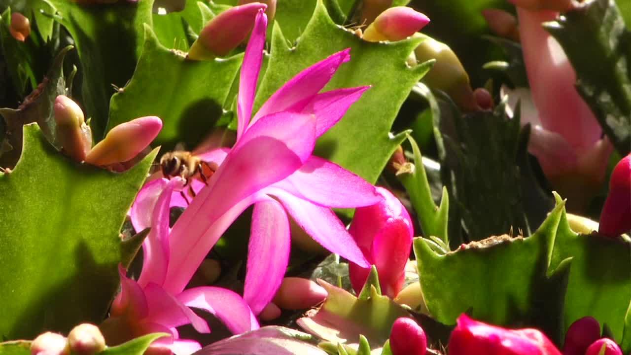 How Epicor Eagle software enables the retailer to offer superior customer service