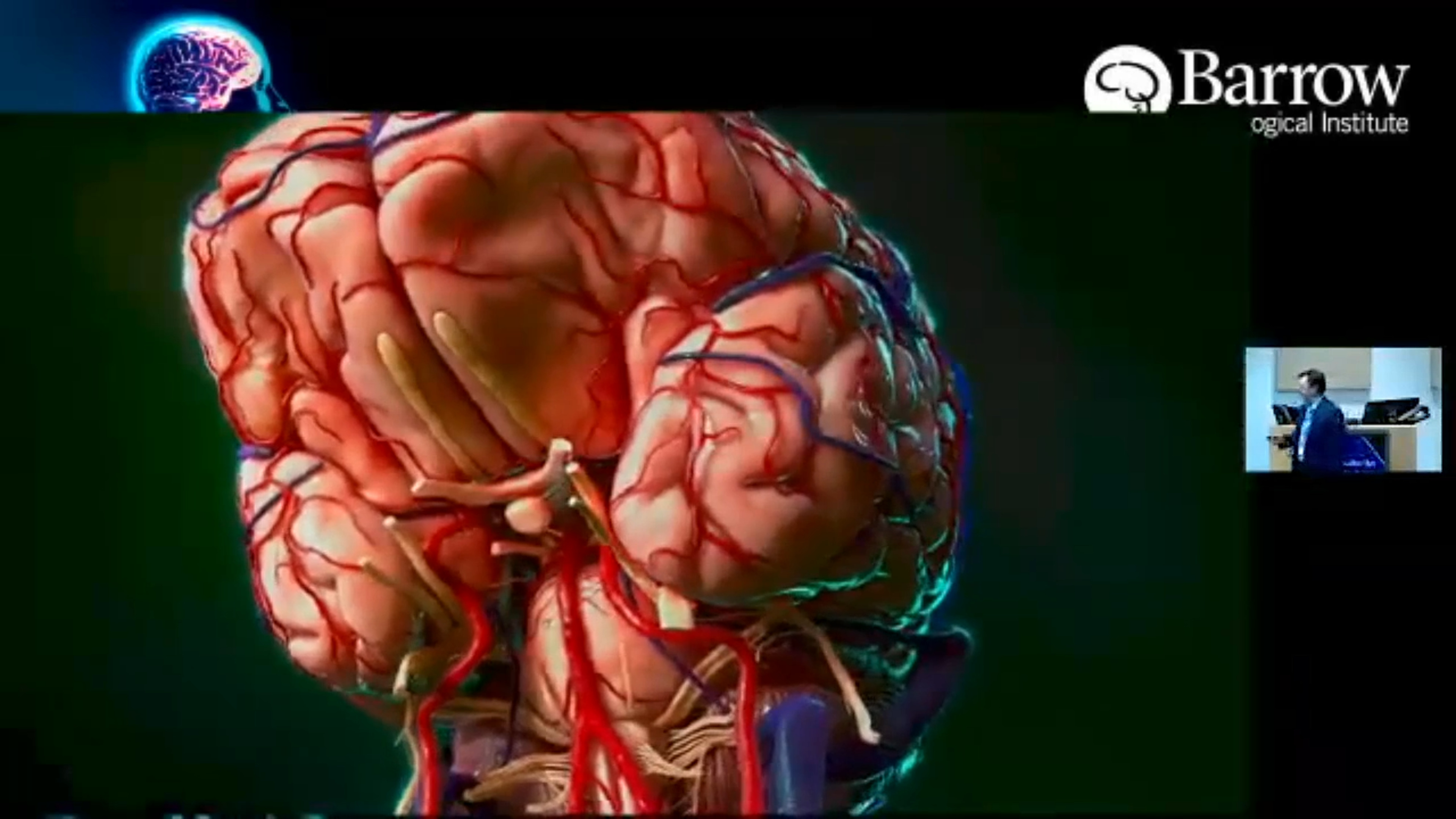 Anatomy and Physiology of the Pituitary Gland