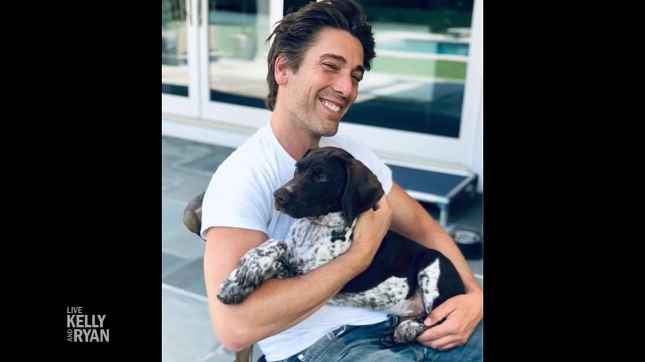 David Muir's New Puppy | LIVE with Kelly and Mark