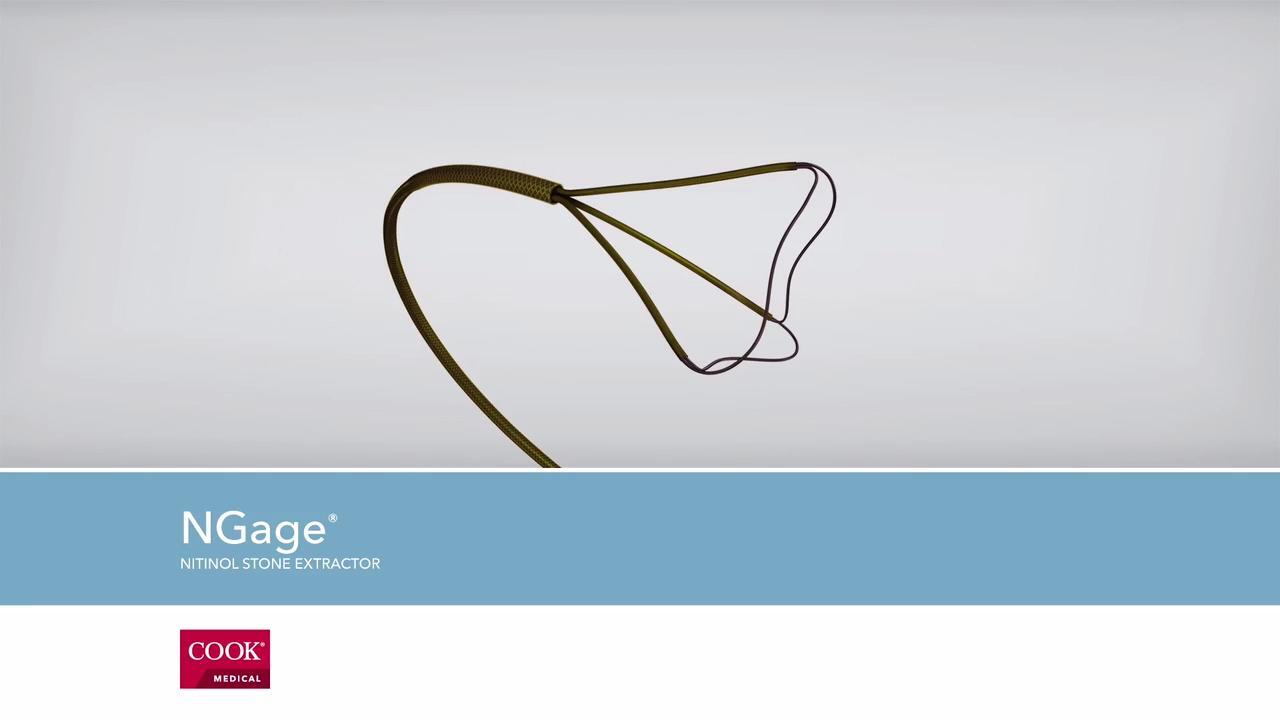 こっちのろっくもさいこうなのでこの品 ほっちのロッヂ 軽井沢町にある診療所 ケアの文化拠点