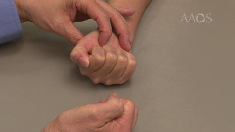 Inspection/palpation: Finger flexion and Extension