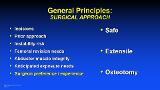 Acetabular Bone Loss- Evaluation and Treatment Rationale