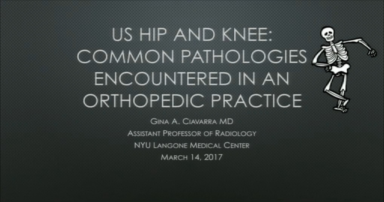 US Hip and Knee: Common Pathologies Encountered in an Orthopedic Practice