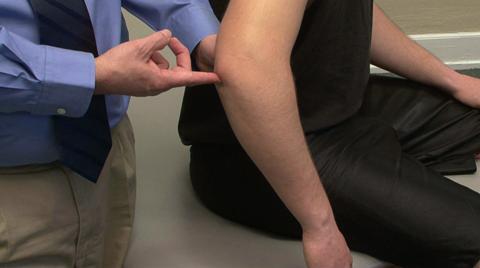 Physical Examination of the Elbow and Forearm: Inspection/Palpation: Posterior View
