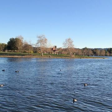 LAKE BALBOA/ANTHONY C. BEILENSON PARK - Updated May 2024 - 1772 Photos ...