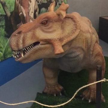 STERNBERG MUSEUM OF NATURAL HISTORY - Updated April 2024 - 50 Photos ...