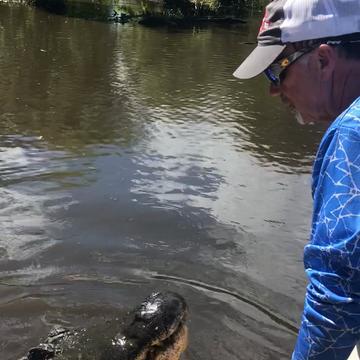 AIRBOAT TOURS BY ARTHUR MATHERNE - Boat Tours - 4262 US 90, Des ...