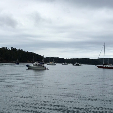 ROCHE HARBOR MARINA - 55 Photos & 21 Reviews - 248 Reuben Memorial Dr ...