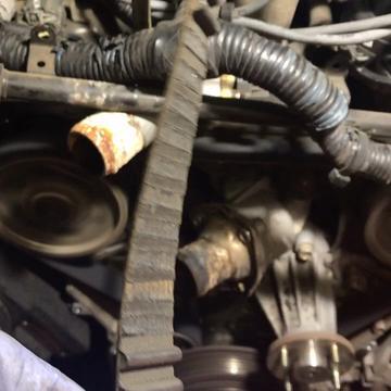 Photo of Euro Master Tek - Las Vegas, NV, US. Timing belt replacement after original belt (112000 Miles) lost some teeth, lucky lady. Engine started right up!!