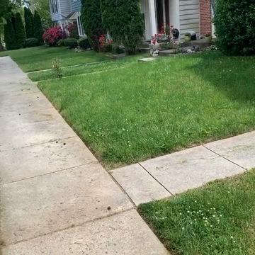 GRASS MONKEY LAWN CARE - Updated April 2024 - 40 Photos - Baltimore ...