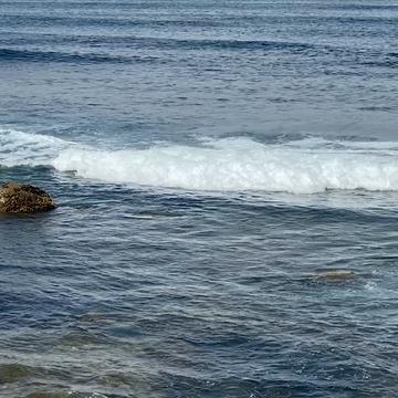 POINT LOMA TIDE POOLS - 842 Photos & 129 Reviews - Gatchell Rd, San ...