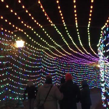 WILD LIGHTS AT THE ST. LOUIS ZOO - 78 Photos & 13 Reviews - One ...