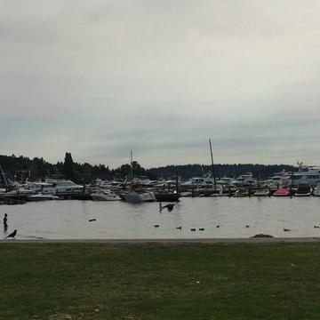 KIRKLAND HOMEPORT MARINA Updated April 2024 27 Photos 135 Lake St   Image 