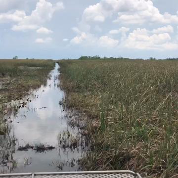 Unspoiled Everglades